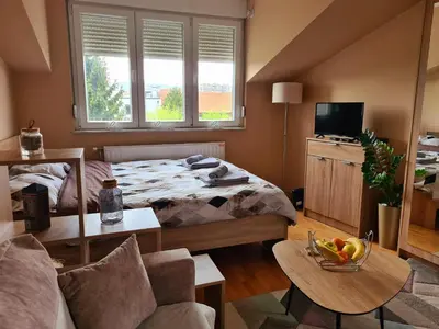 a bedroom with a bed and a tv and a couch at SOGNI D'ORO in Niš