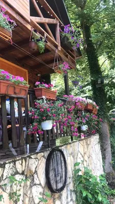 Gallery image of Vikendica Lenka in Sijarinska Banja