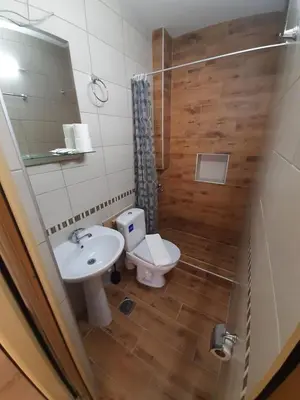 a bathroom with a sink and a toilet and a shower at Studio Gmitrovic in Rtanj