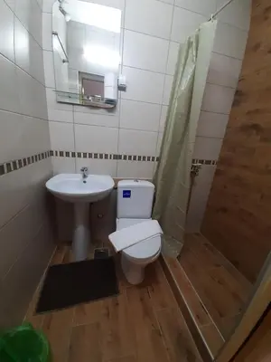 a bathroom with a toilet and a sink and a shower at Studio Gmitrovic in Rtanj