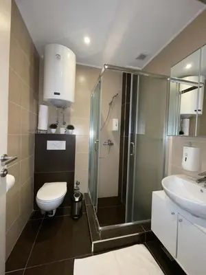 a bathroom with a shower and a toilet and a sink at The Nest Apartman, Župa Wellness & Spa Kopaonik in Kopaonik