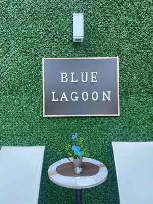 a sign on a green wall with a table with flowers at Blue Lagoon Apartments in Crni Vrh