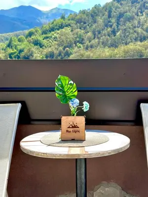 a table with a potted plant on top of it at Blue Lagoon Apartments in Crni Vrh