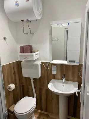 a bathroom with a toilet and a sink at Blue Lagoon Apartments in Crni Vrh
