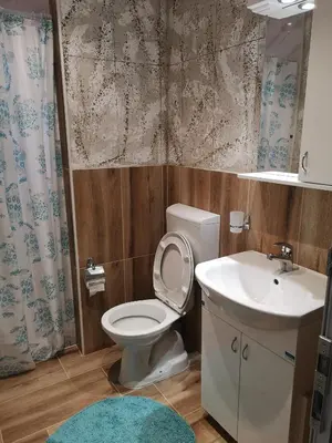 a bathroom with a toilet and a sink at Blue Lagoon Apartments in Crni Vrh