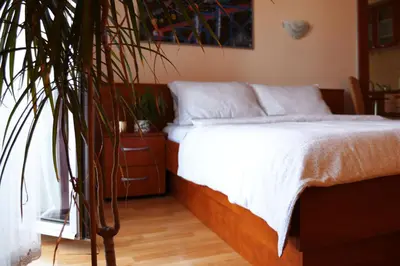 a bedroom with a bed with white sheets and a plant at Dental apartman in Vrnjačka Banja