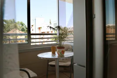 a table with a potted plant on it in front of a window at Dental apartman in Vrnjačka Banja