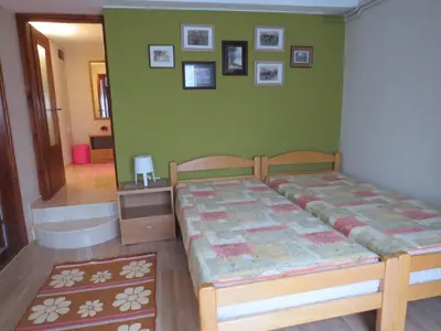 a bedroom with a bed and a green wall at Apartman Bilja in Vrnjačka Banja