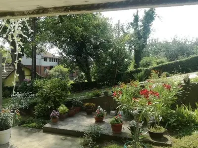 a garden with lots of potted plants and flowers at Apartman Bilja in Vrnjačka Banja