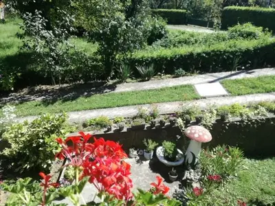 a garden with red flowers and a pathway at Apartman Bilja in Vrnjačka Banja