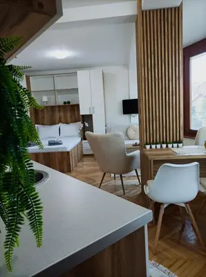 a kitchen and living room with a bed and chairs at Apartman Rajska Banja in Vrnjačka Banja