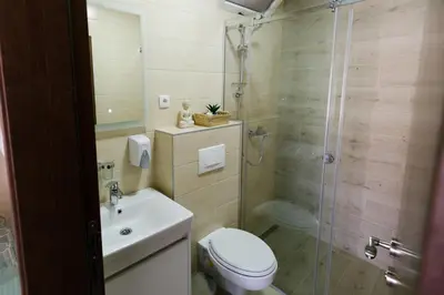 a bathroom with a shower and a toilet and a sink at Apartmani Veselinović in Vrnjačka Banja