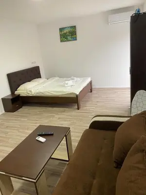 a living room with a couch and a bed at Studio Milica in Soko Banja