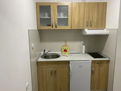 a small kitchen with a sink and wooden cabinets at Studio Milica in Soko Banja