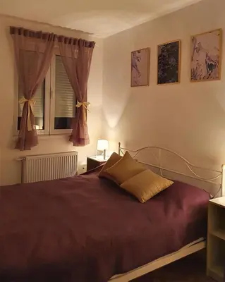a bedroom with a large bed and a window at LILAC Apartment in Vrnjačka Banja