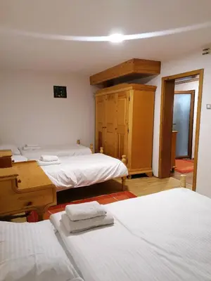 a bedroom with two beds and a dresser in it at Guest House Villa Rankovic in Brzeće