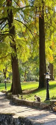 a dog sitting in a park next to trees at Apartman TIM LUX 2 in Vrnjačka Banja