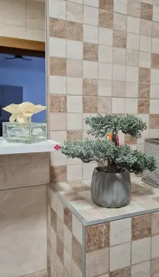 a bonsai tree sitting on a table in a room at Apartman TIM LUX 1 in Vrnjačka Banja