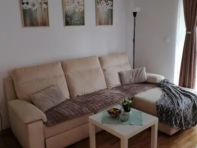 a brown couch in a living room with a table at Ramonda Lux apartman in Vrnjačka Banja