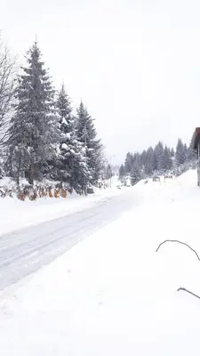 a snow covered road with trees in the distance at President Kop - Apartman A21 in Kopaonik