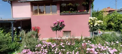 a pink house with flowers in front of it at Stancic 019 in Zaječar