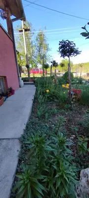 a garden with flowers and a sidewalk next to a building at Stancic 019 in Zaječar