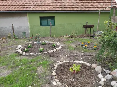 a garden with some flowers in the yard at Stancic 019 in Zaječar