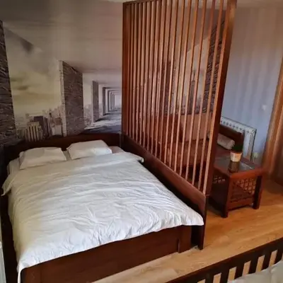 Apartman Kopaonik u Jolly kop