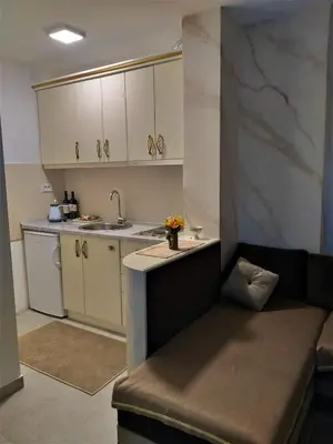 a living room with a couch and a kitchen at Apartmani Soko Day 1 in Soko Banja