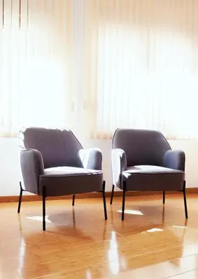 two chairs sitting next to each other in a room at Lux Family Apartment Vidanovic in Pirot