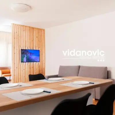 Lux Family Apartment Vidanovic