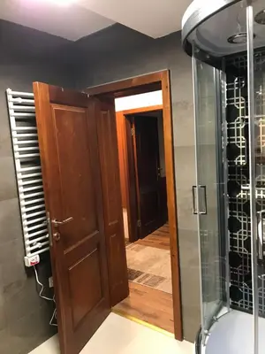 a bathroom with a shower and a wooden door at Apartman B3 u vili Suri in Kopaonik