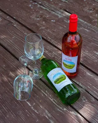 a bottle of wine and two glasses on a wooden table at Vila Čair in Balajnac