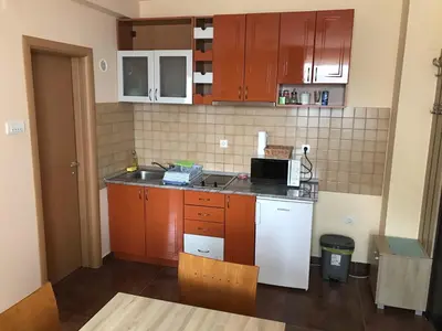 a kitchen with wooden cabinets and a counter top at Cosy apartment Marina in Kopaonik