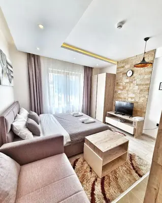 a bedroom with a bed and a couch and a tv at Milmari S70 Kopaonik in Kopaonik