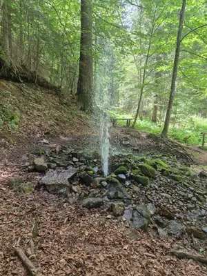 a waterfall in the middle of a forest at Milmari S70 Kopaonik in Kopaonik