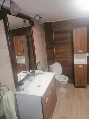 a bathroom with a sink and a toilet and a mirror at Apartman Daša in Soko Banja
