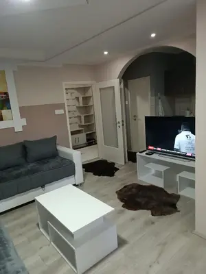 a living room with a couch and a television at Stan na dan in Aleksinac