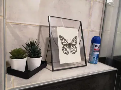 a shelf with a butterfly sign and plants on it at B3 Sneznik-Modern apartment in Vrnjačka Banja