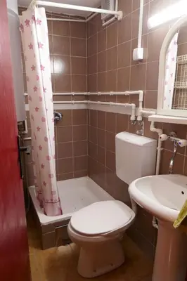 a bathroom with a toilet and a shower and a sink at Studio za dvoje u Planinskoj kući Savić in Kopaonik