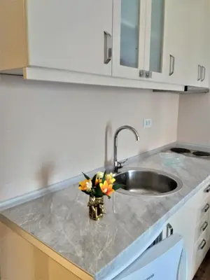 a kitchen counter with a sink and a vase of flowers at Studio Soko Day 2 in Soko Banja