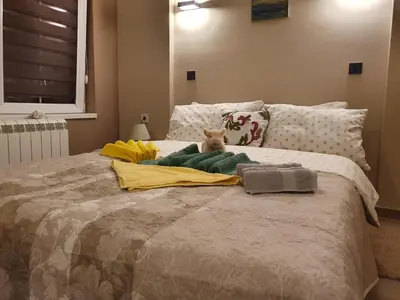 a dog sitting on top of a bed at Guest House Jasmin in Niška Banja