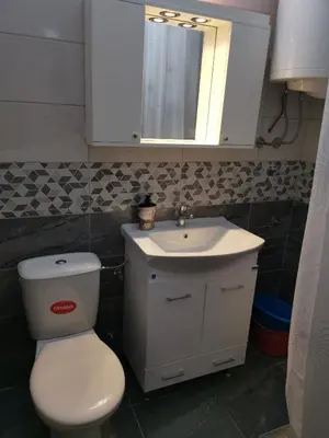 a bathroom with a toilet and a sink and a mirror at Sokobanja apartman Aviva in Soko Banja