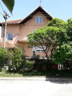 a house with a tree in front of it at Sokobanja apartman Aviva in Soko Banja