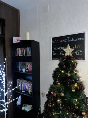 a christmas tree in a room with a book shelf at Smeštaj Filipović in Soko Banja