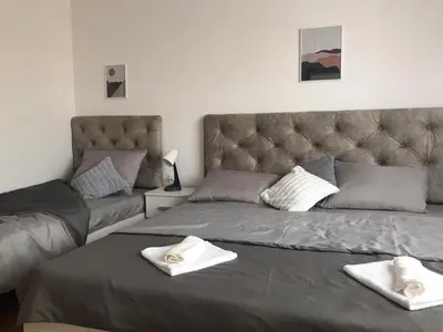 a bedroom with two beds and a couch at Smeštaj Filipović in Soko Banja