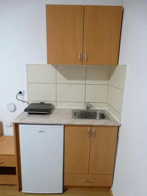 a small kitchen with a sink and a refrigerator at Vila Jenic in Soko Banja