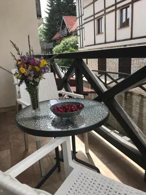 Gallery image of Apartment Sirius Kopaonik in Kopaonik