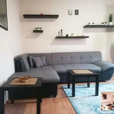 Viki Apartment CENTAR