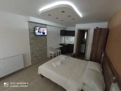 a bedroom with a bed and a tv on a wall at Studio Dunja in Soko Banja